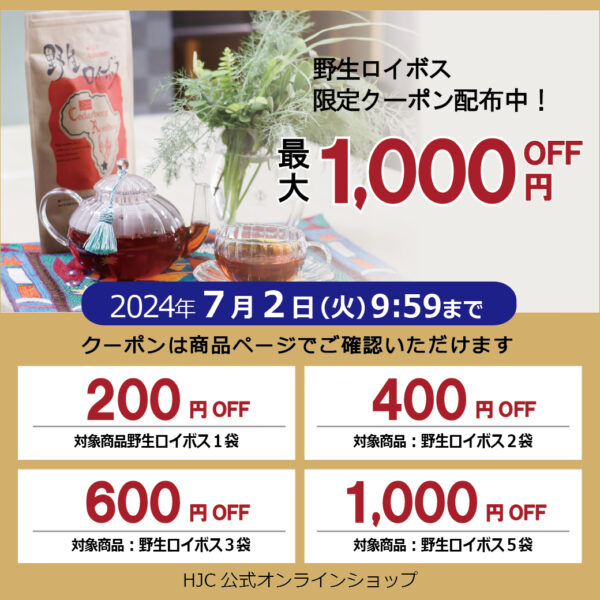 ＼最大1,000円OFF／クーポン配布中・毎日飲むなら体に良いお茶「野生ロイボス」