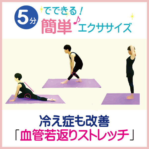 【お家で簡単☆エクササイズ2-2】冷え症改善・血管若返り術!血管伸ばし(ストレッチ編)
